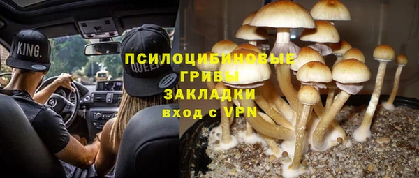 каннабис Аркадак