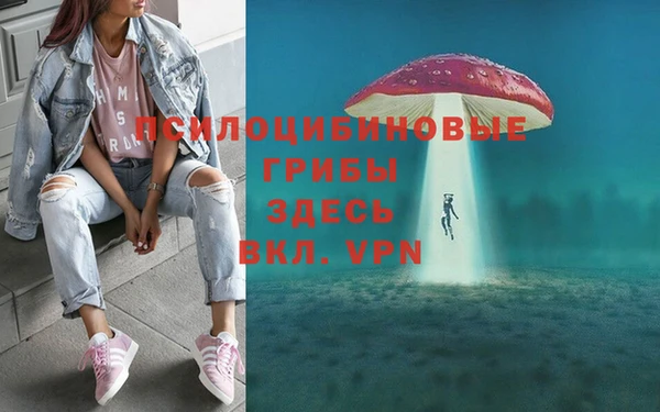 первитин Арсеньев