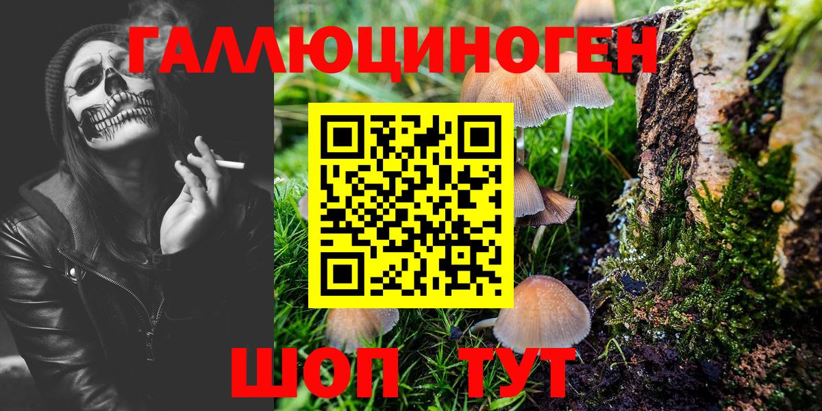 Псилоцибиновые грибы Magic Shrooms Кунгур