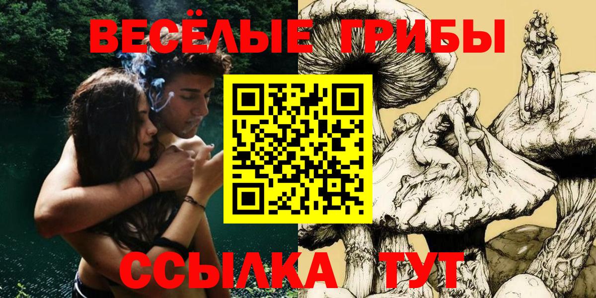 купить наркотик  Вход с VPN  Кунгур  Псилоцибиновые грибы ЛСД 